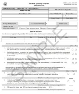 Ppp application Ppp application